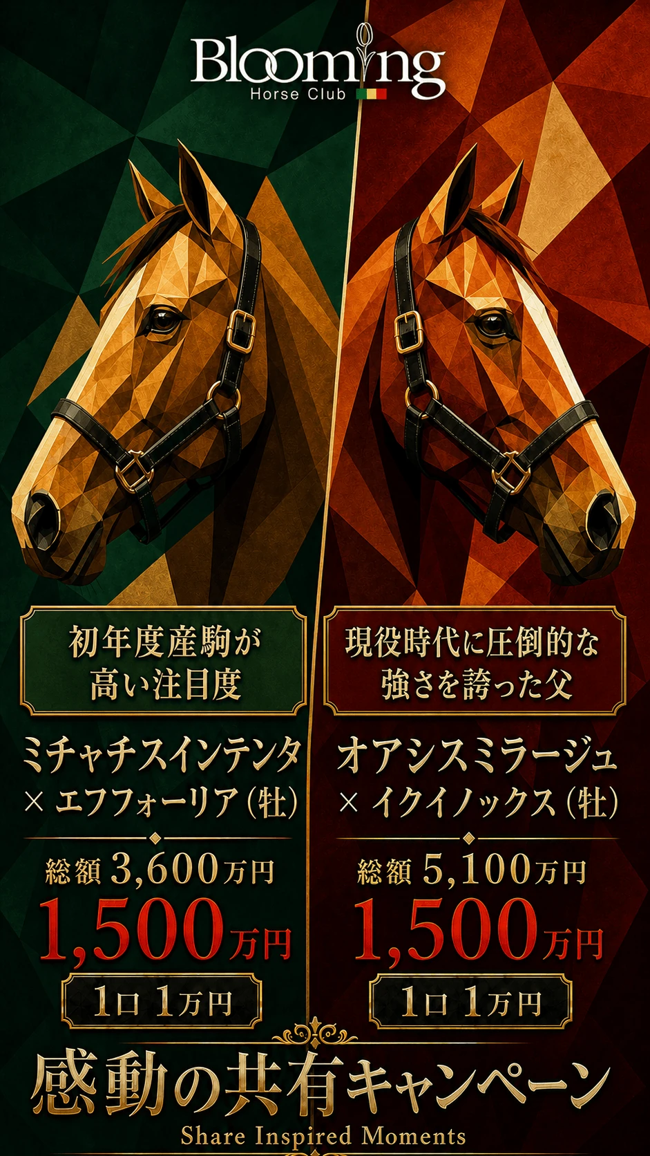 感動の共有キャンペーン。初年度産駒が高い注目度のミチャチスインテンタ×エフフォーリア（牡）と、現役時代に圧倒的な強さを誇った父をもつオアシスミラージュ×イクイノックス（牡）。各1,500万円、1口1万円。Share Inspired Moments。