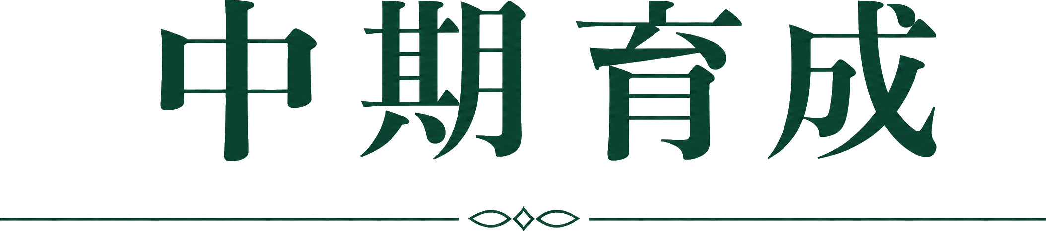 中期育成