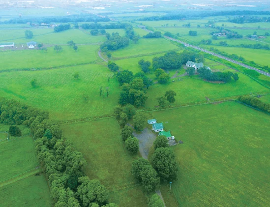 Blooming Farmの放牧地